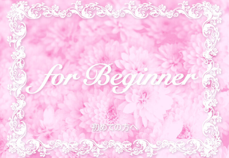 初めての方へ（for Beginner）